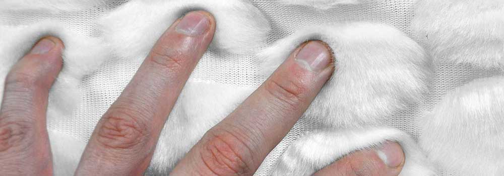 Vierbeiner lieben Fell und Pelz!