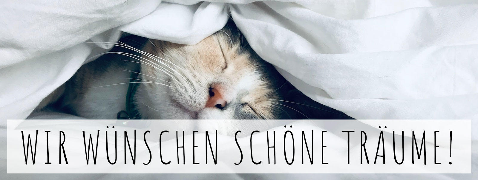 Wir wünschen schöne Träume!