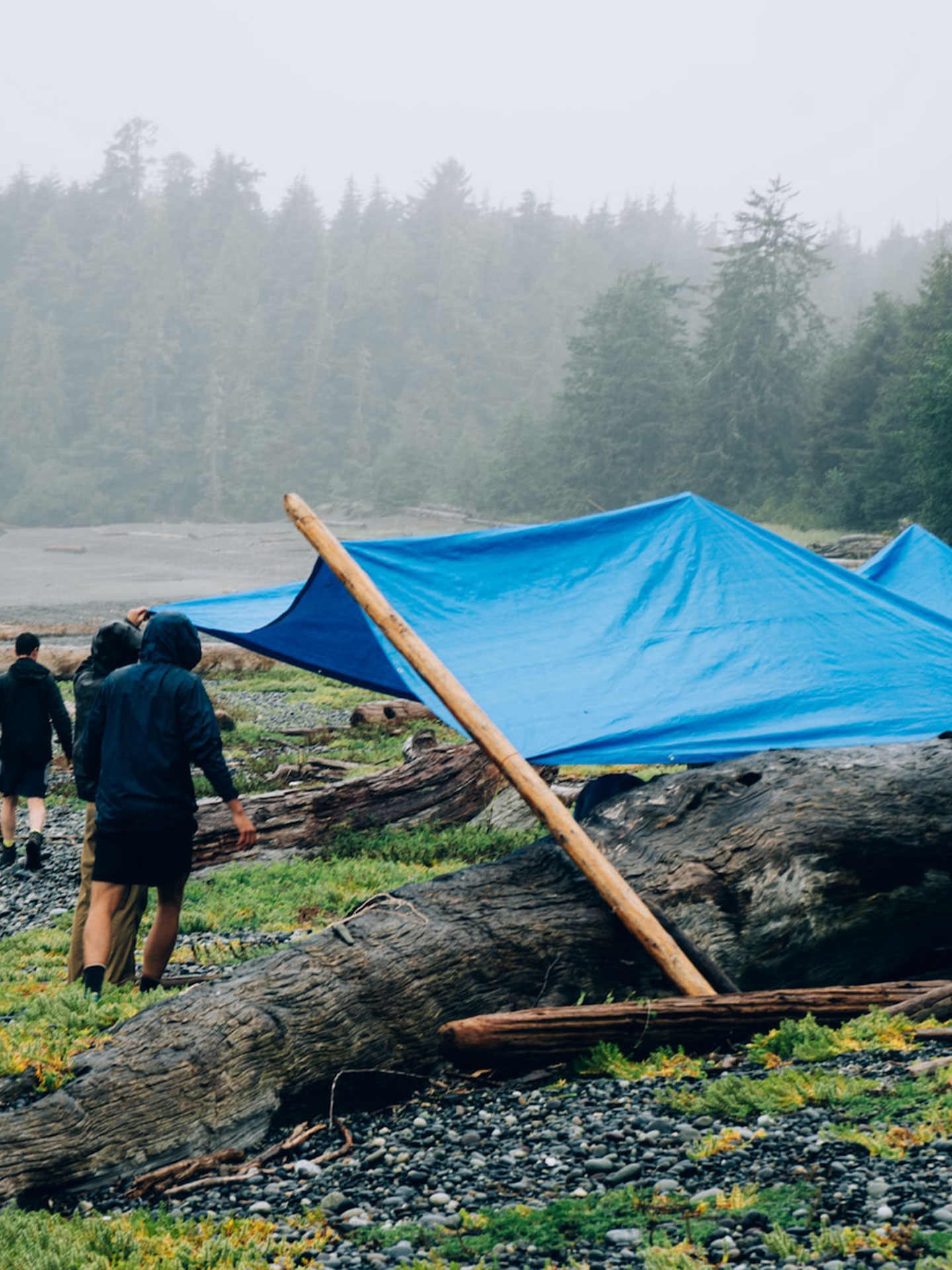 Hier klicken für Tarp-Stoffe