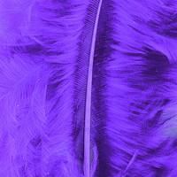 Marabufeder -  - 80 - 100 mm - 2 g ~ 22 Stk. - violett 
