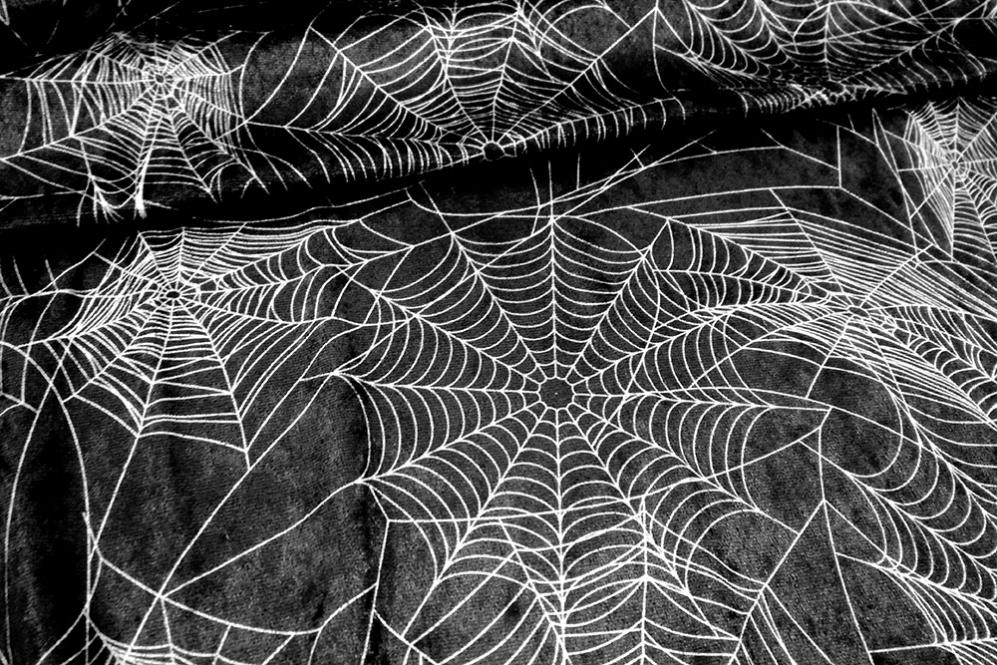 Pannesamt - Spinnennetze Allover 