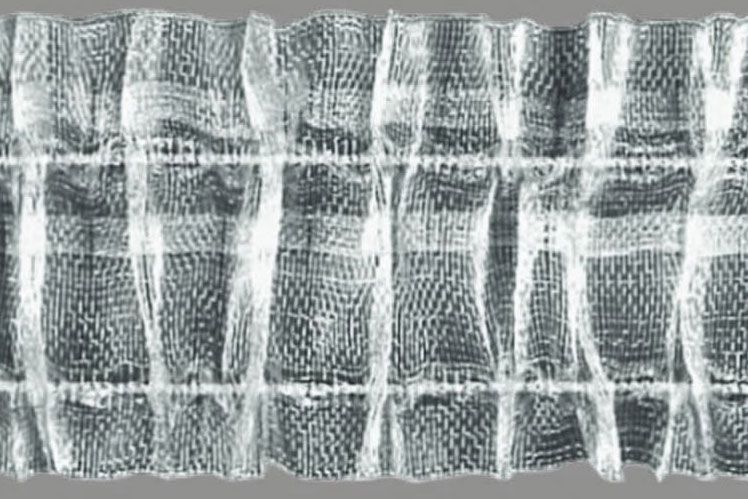 Gardinenschienen-Band Universal - 50 mm - transparent 