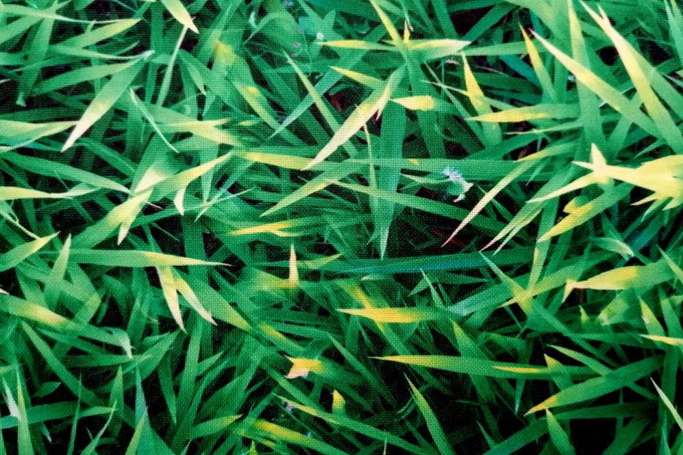 Dekorations-Stretch - Grüner Rasen 