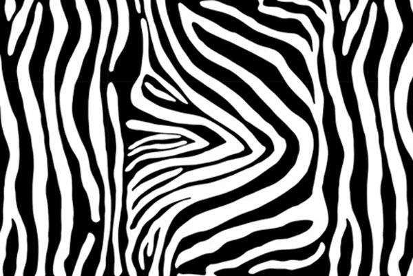 Dekostoff - Zebra - 280 cm 