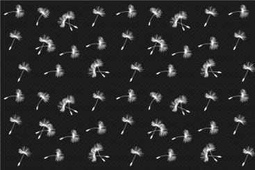 Blackout - Pusteblume Schwarz/Weiß