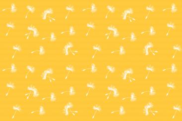 Blackout - Pusteblume Gelb/Weiß