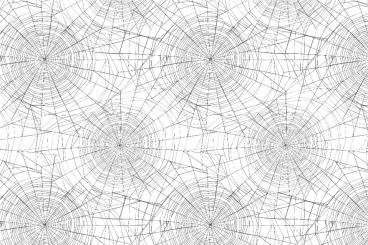 Satin - Grusel-Spinnennetz Weiß