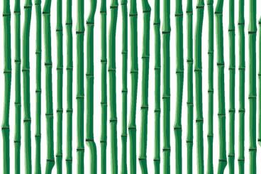 Deko-Stoff - Bambus Bali 