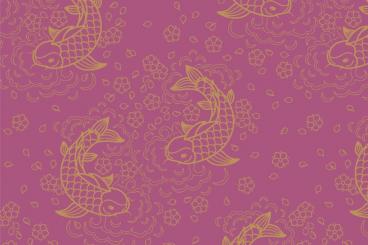 Samtstoff - China Fische Altrosa