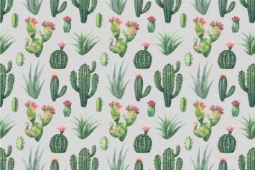 Nano-Softshell - Kaktus-Liebe Grau