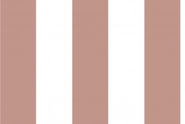 Blackout - Blockstreifen 10 cm Altrosa/Weiß