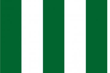 Blackout - Blockstreifen 10 cm Grün/Weiß