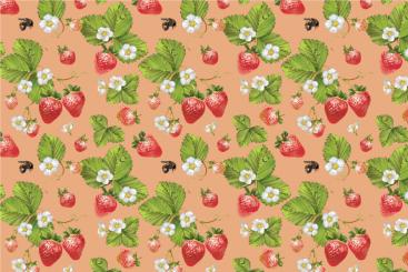 Outdoorstoff - Erdbeeren Apricot