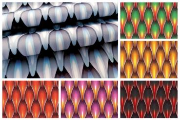 Nano-Softshell - Drachenschuppen 