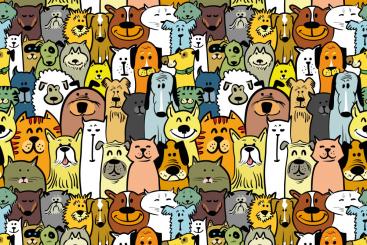 Nano-Softshell - Tier-Publikum 