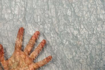 Moskitonetz-Meterware - Baumrinde 