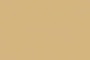 Filz - 90 cm breit - Sand - 1,0 Meter 