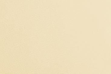 Kunstleder - Deluxe Champagner