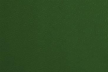 Polsterkunstleder Premium 140 cm breit Grün
