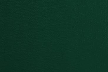 Polsterkunstleder Premium 140 cm breit Tanne