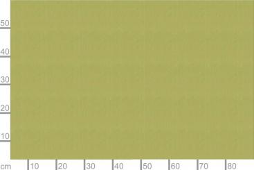 Gardinen Taft St.Tropez 300cm breit Lindgrün