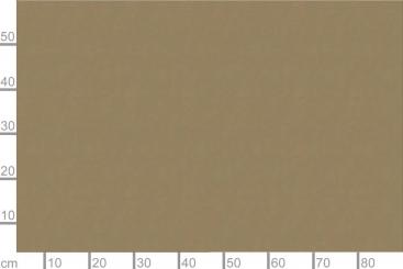 Gardinen Taft St.Tropez 300cm breit Papyrus