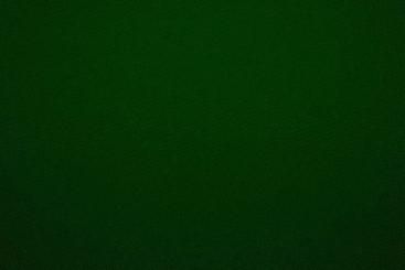 Polyester-Stoff - reißfest und wasserabweisend - Dunkelgrün - 1,0 Meter 