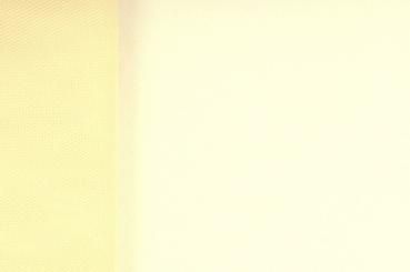 Tüll - Champagner - 4,0 Meter 