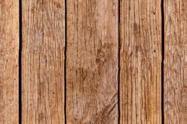 Akustikpaneel Decke - Holzbretter - 120 x 50 cm - inkl. Befestigung 