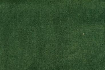 Baumwollstoff - 240 cm breit Grün