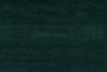 Feinripp-Cordjersey - Uni Tanne