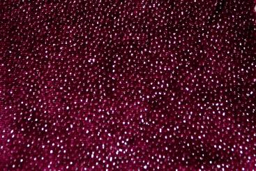 Tanzkleiderstoff Queen - Bordeaux 