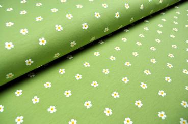 French Terry - Blümchenwiese - Hellgrün 