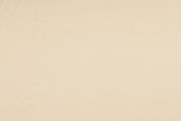 Echte Seide - Stretch - Champagner 