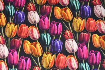 Viskosestoff 3D - Bunte Tulpen 
