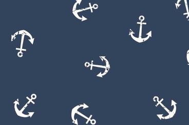 Musselin - Anker - Navy/Weiß 