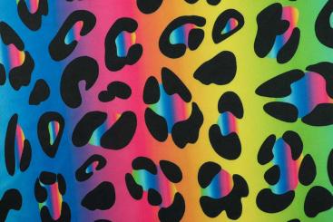 Tanzkleiderstoff - Leo Iris - Bunt 