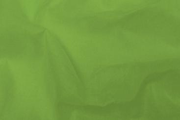Baumwoll-Batist - leicht - Hellgrün - 2,0 Meter 