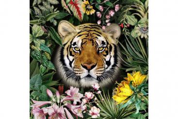 Premium-Samt - Panel - Tiger Jungle 