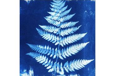 Premium-Samt - Panel - Blue Nature 