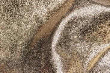 Ziegenleder Premium - Glamour - Gold 