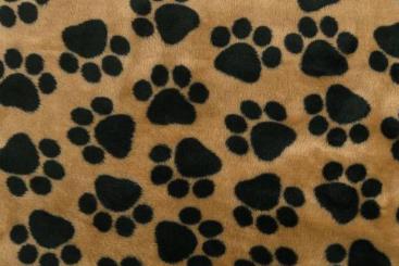 Fleece-Stoff - Pfötchen Flausch - Beige 