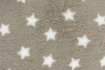 Sherpa Fleece - Sand Stars 