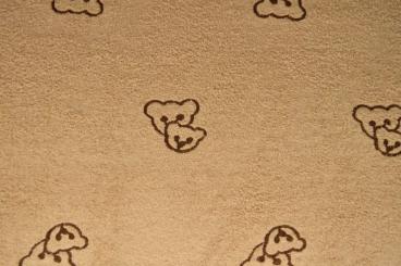 Flausch-Teddy bestickt - Bärchen 