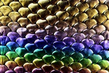 Tanzkleiderstoff Hologramm - Rainbow Mermaid 