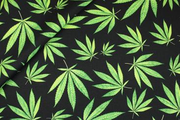 Universalstoff - Hanf 