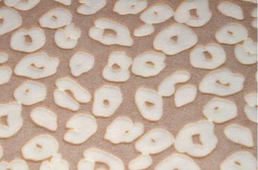 Flausch-Fleece - Sanfter Leo 