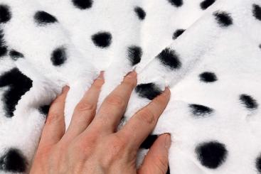 Flausch-Fell - Dalmatiner 