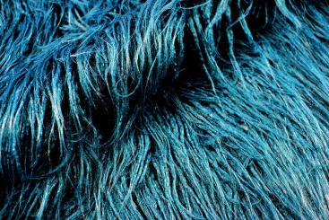 Langhaarfell - Petrol 