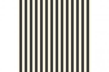 Jardin Streifen schwarz / beige